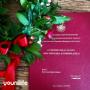 Tesi di laurea rossa di alta qualità