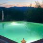 Gallery Professionale