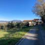 Gallery Professionale