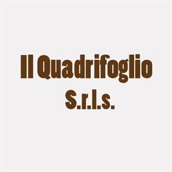 Il Quadrifoglio