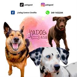 J'adog centro cinofilo