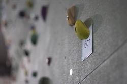 Palestra Arrampicata