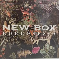New Box Borgosesia