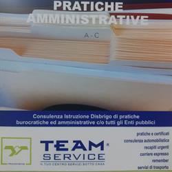 Team Service