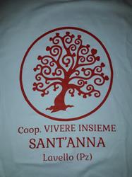 Vivere Insieme Società Cooperativa Arl
