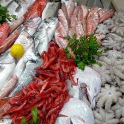 Pescheria Il Gozzo Blu
