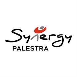 Palestra Synergy