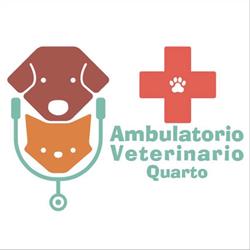 Ambulatorio Veterinario Quarto