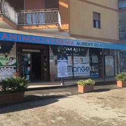 Animali in Forma di B.P.
