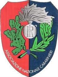 Associazione Nazionale Carabinieri - Sezione "C.re Ticli Roberto" - Luino
