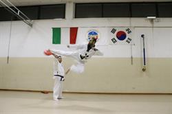 Lions Taekwondo Valeggio Sul Mincio Vr