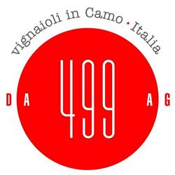 499 VINO