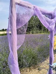 Eventi in Fattoria Contrà Mussolina