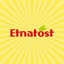Etnatost