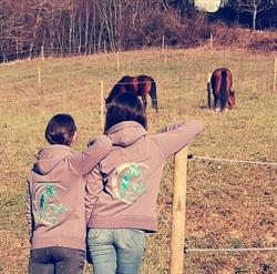 Sofia Performance Horses
