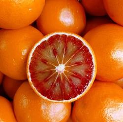 Ortofrutta Il Frutteto