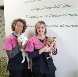 Ambulatorio Veterinario Bussoleno