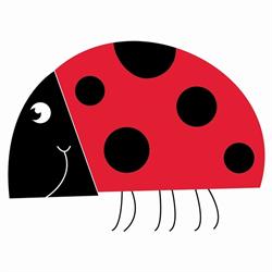 Ladybug Abbigliamento