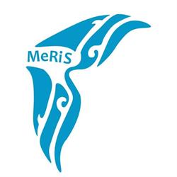 MeRiS - Mediterraneo Ricerca e Sviluppo (a.p.s.)
