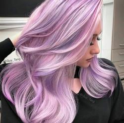 Estrosa hair stylist