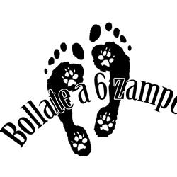 Bollate a 6 Zampe APS