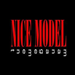 NICE MODEL Management