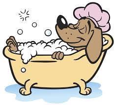 Dog my friend