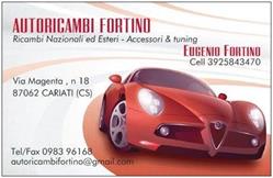 Autoricambi Fortino
