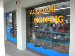MonBig Acquari Pian Camuno