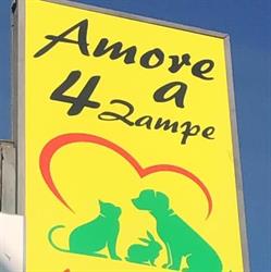 Amore a 4 zampe srls Carovigno