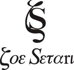 Zoe Setari Hair Stylist