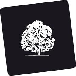 Edizioni Medicea Firenze Srl