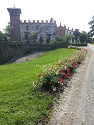 Castello di Banchette