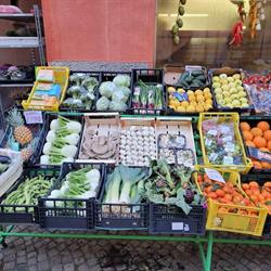Fabbri Fruits