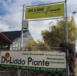 Garden Di Liddo piante