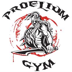 Palestra Proelium Gym