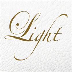 Light Contemporary Food