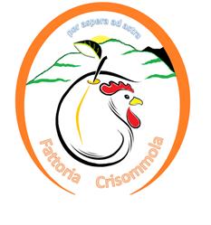 Fattoria Crisommola
