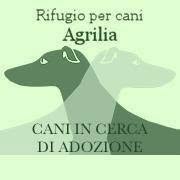 Rifugio per Cani Agrilia