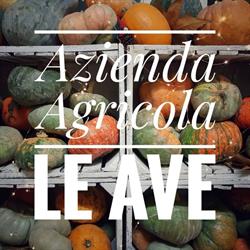 Azienda Agricola Le Ave