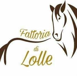 Fattoria di Lolle