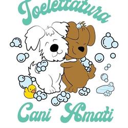 Toelettatura Cani Amati