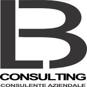 LB CONSULTING di Luca Biscione