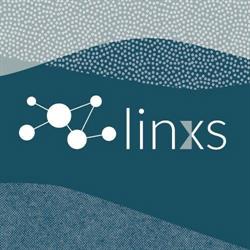 Linxs Srl - New Media Strategies