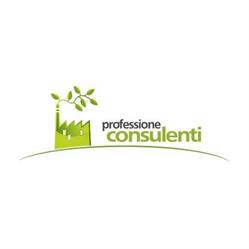 Professione Consulenti