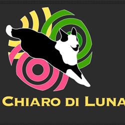 Centro Cinofilo al Chiaro di Luna