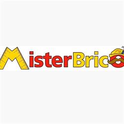 Mister Brico Di Daniele Sanguineti
