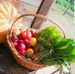 Solo Cose Buone - Azienda Agricola Bruti Bolsena