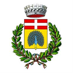 Comune di Pavone Canavese