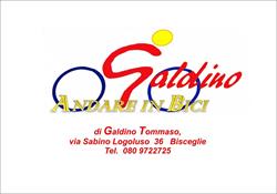 ANDARE IN BICI di Galdino Tommaso